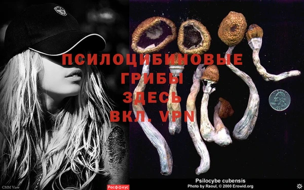 гашиш Абаза