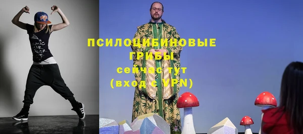 герыч Алексин