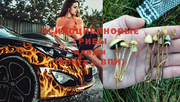 синтетический гашиш Абдулино