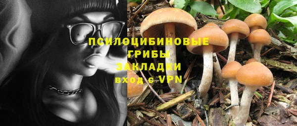 гашиш Абаза