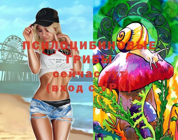 крисы Абинск