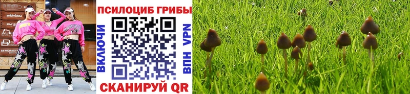 Псилоцибиновые грибы мухоморы  Ростов-на-Дону 