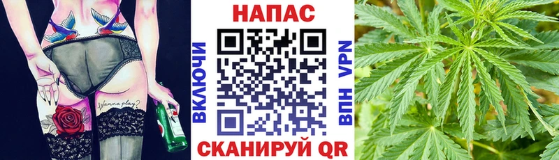 дарк нет состав  Ростов-на-Дону  Бошки марихуана план 